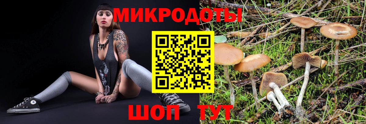 Галлюциногенные грибы Magic Shrooms Дедовск