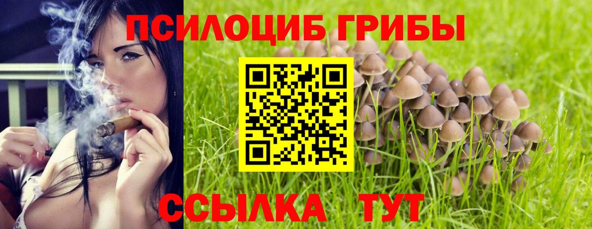 Псилоцибиновые грибы ЛСД  Псилоцибиновые грибы MAGIC MUSHROOMS  что такое   Вход с VPN  Дедовск 